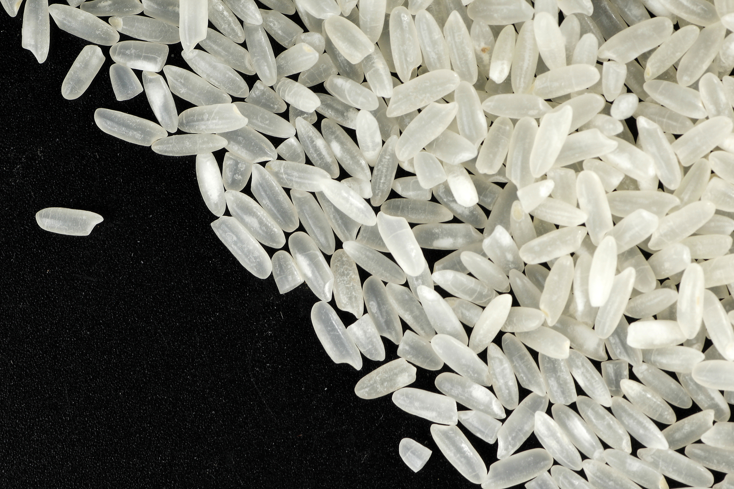 這些地方的大米都很好吃，哪一口是你的家鄉味？