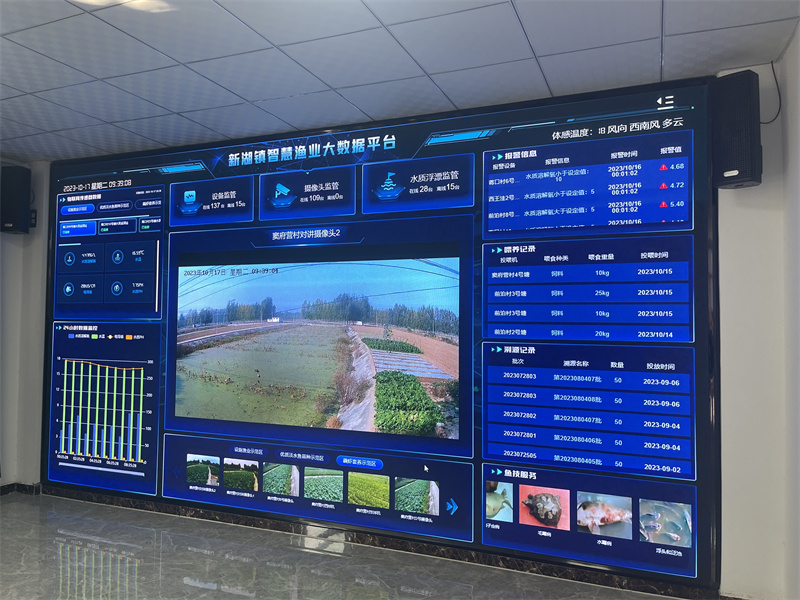 特色產(chǎn)業(yè)效益高、托管服務(wù)帶動(dòng)強(qiáng) 泰安農(nóng)業(yè)農(nóng)村重點(diǎn)項(xiàng)目繪就鄉(xiāng)村振興新圖景